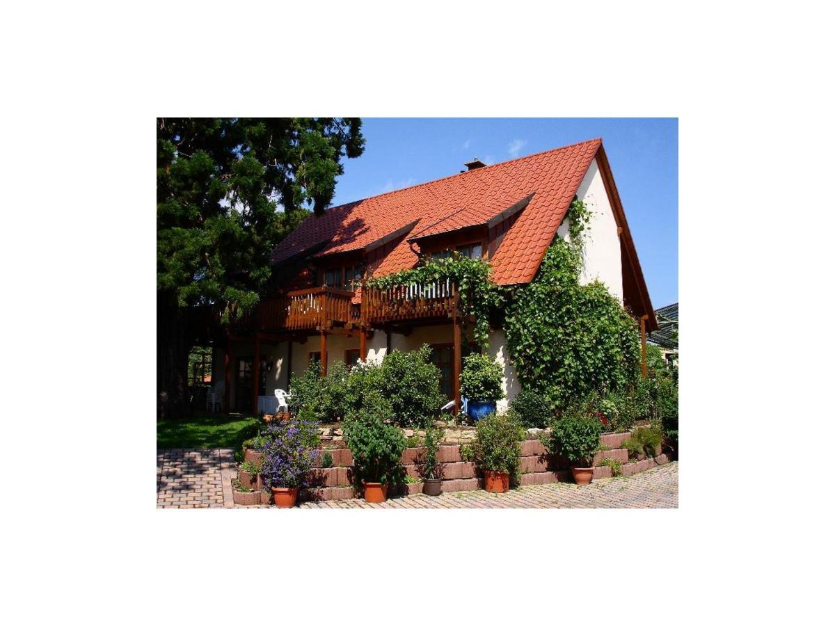 Gaestehaus Hellmer Neustadt an der Weinstrasse Ngoại thất bức ảnh